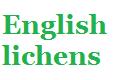 English lichen list